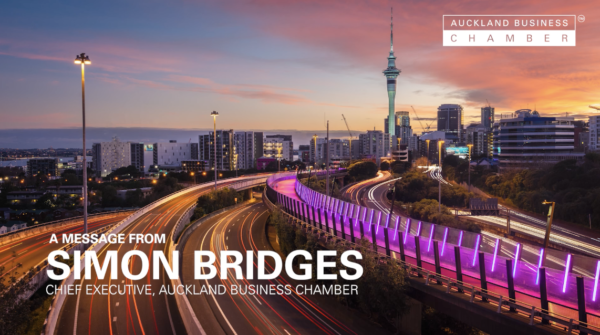 The hero image for Simon Bridges video about the opinion piece, featuring the pink path Te Ara i Whiti,which Bridges opened as Transport Minister in December 2015