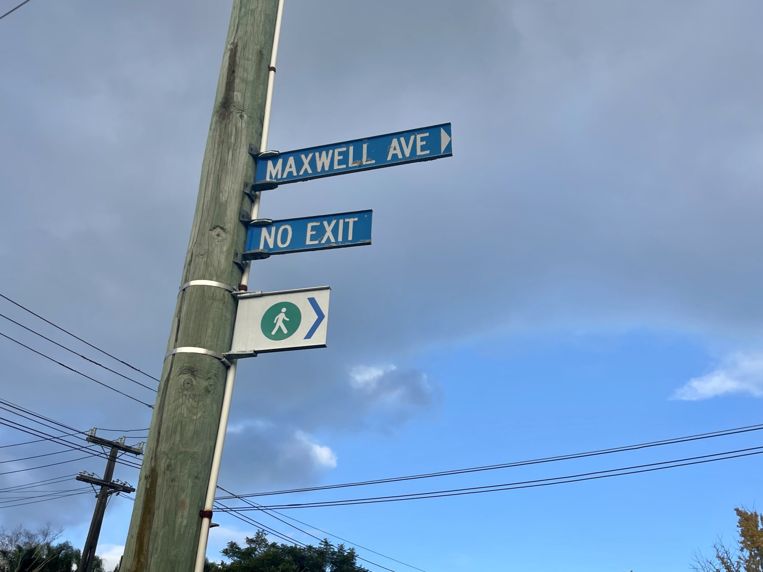 A photo of street signs on a lamppost in Westmere. The top sign says Maxwell Ave. The second one says No Exit. The third, wordless but with a small green icon of a walking person, indicates there is in fact access to those travelling at human scale.